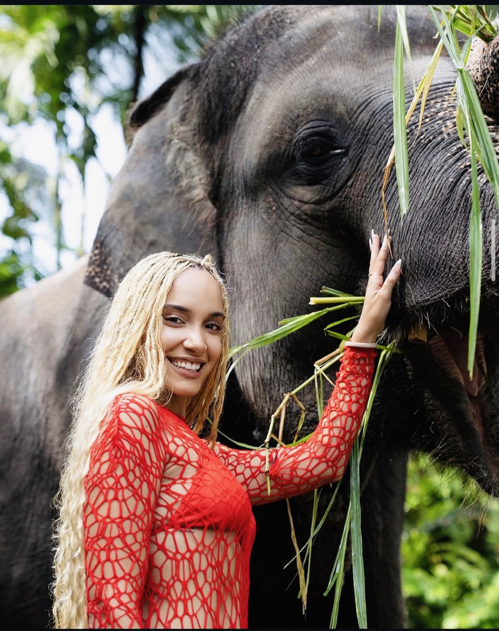 Knotless boho box braids (blonde)